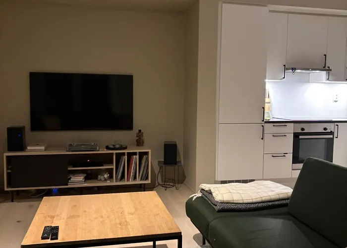 New Modern Apartment, Close To Airport Apartment Bergen